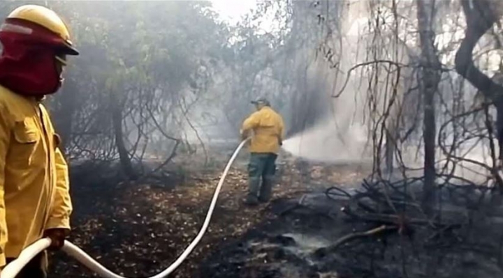 Persisten incendios en la Chiquitania, en Guarayos familias dejan sus casas y huyen del fuego
