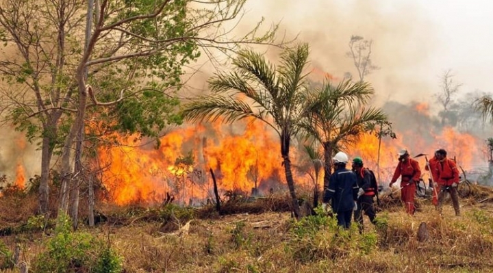 Empresario aéreo dice que ofreció sin éxito un “avión bombero” para tratar de mitigar los incendios 