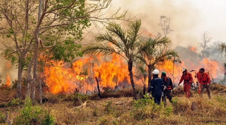 El Gobierno de Canadá confirma ayuda para combatir incendios en Bolivia 