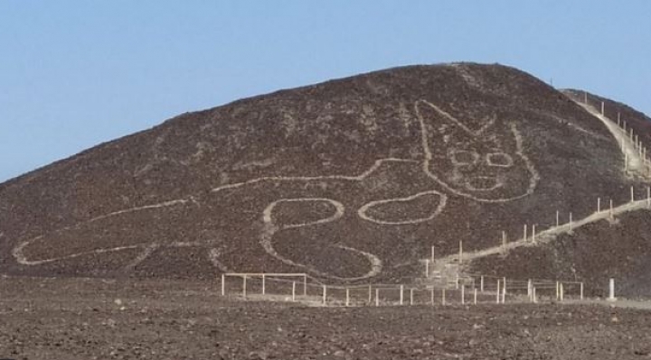 Pampas de Nasca: el geoglifo de un felino de más de 2.000 años de antigüedad descubierto en Perú