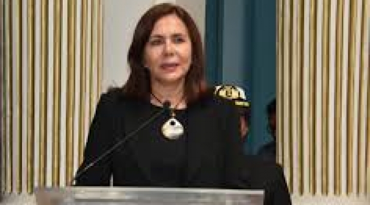 Cancillería entregó 120 invitaciones para la posesión de Luis Arce como Presidente