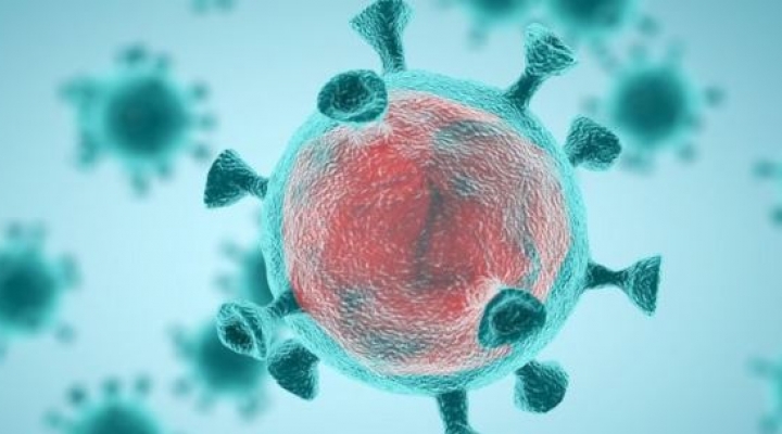 Coronavirus: ¿son los virus un desafío científico insuperable?