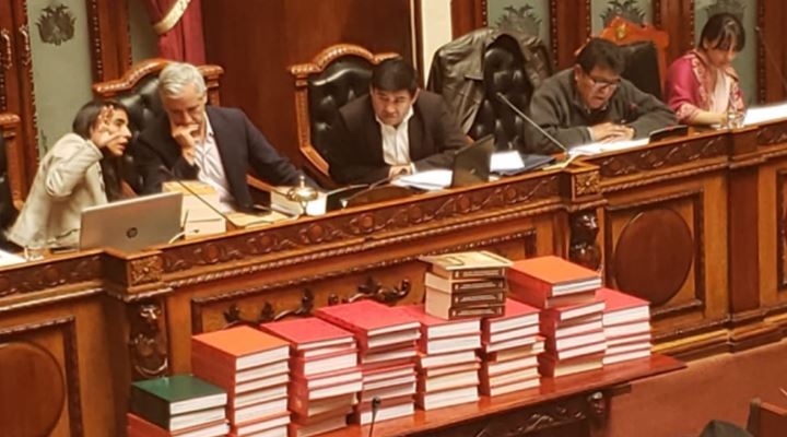 Lectura del informe de privatizaciones requerirá tres días en el Legislativo