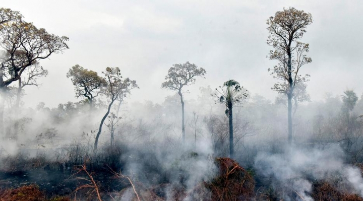 Defensa anuncia plan de prevención de incendios forestales con apoyo de las Fuerzas Armadas