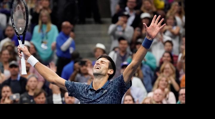 Juan Martín del Potro no pudo ante la jerarquía de Novak Djokovic 