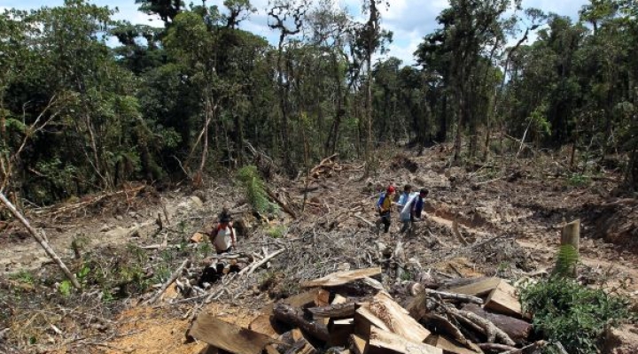 Probioma advierte que Bolivia atraviesa un desastre ambiental que ya cobra factura  