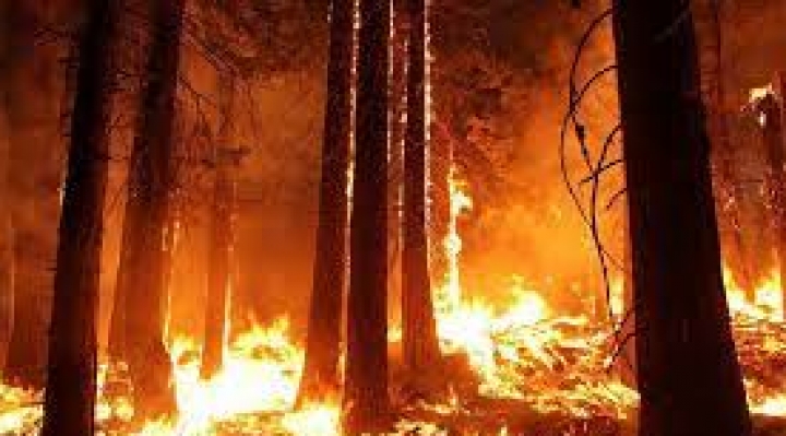 ABT afirma que solo el 38% de quemas fue autorizada y “no tiene mayor incidencia” en los incendios forestales