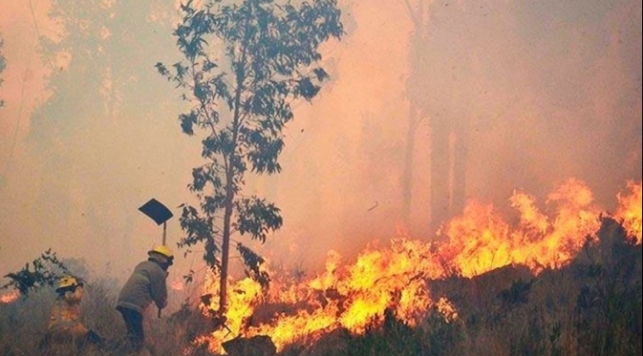 Gobierno identifica a responsables del incendio en la chiquitania, pide procesarlos