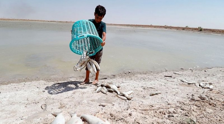 Cómo la escasez de agua está provocando cada vez más guerras en el mundo (y dónde serán los próximos conflictos)