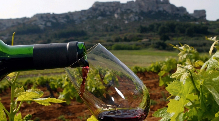 EEUU busca abrir su mercado a los vinos y singanis de Tarija