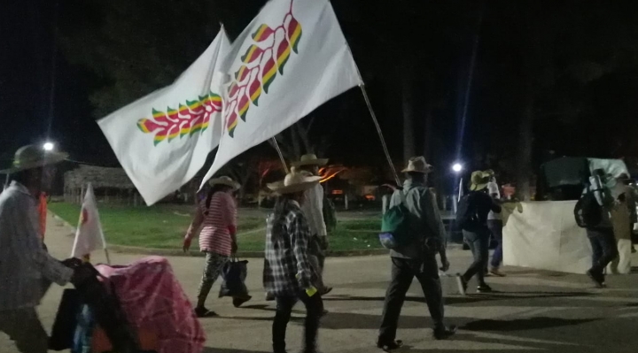 Marcha indígena cumple 20 días en defensa de su territorio y sus demandas históricas