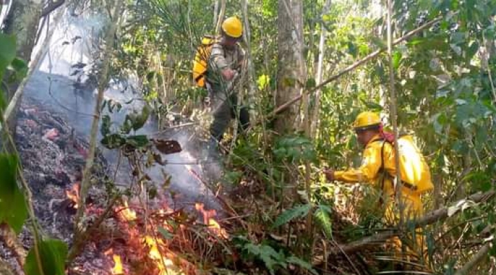Incendio forestal en El Madidi bajo control, se espera sofocarlo en las próximas horas