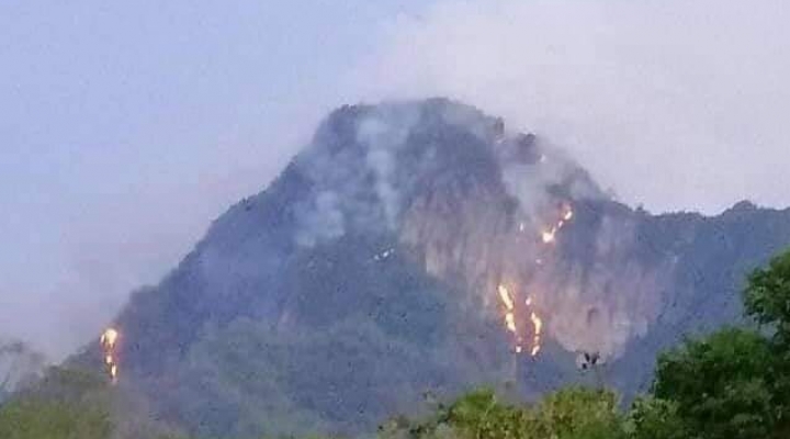 Incendio forestal que arde hace más de una semana en la reserva Pilón Lajas no logra ser sofocado