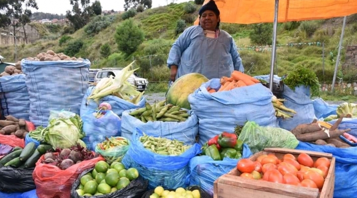 La Paz y El Alto construyen mercados inclusivos para proveer alimentos ecológicos y mitigar la pobreza