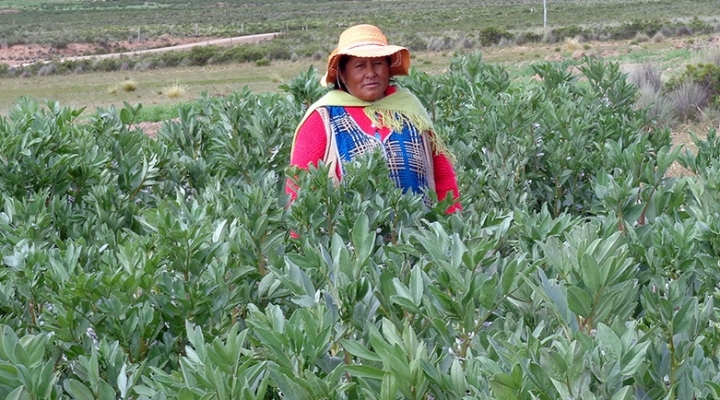 BDP: La agricultura, el turismo y la manufactura empujan el crecimiento económico de Oruro