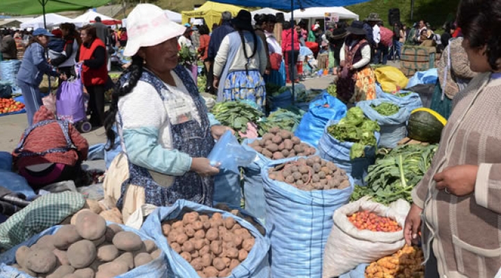 La falta de alimentos castiga a dos millones de personas en Bolivia y el Gobierno no resuelve el problema 