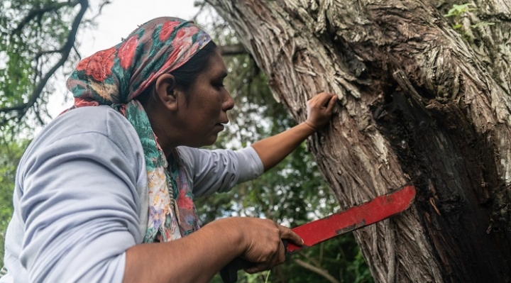 Instrumento para gobernanza territorial y monitoreo ambiental del Gran Chaco Americano fue presentado