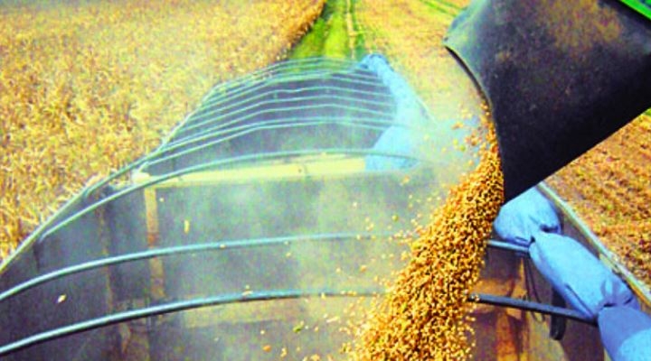 FAO considera “fatal” apostar por biodiesel porque no ayuda a la “seguridad alimentaria”