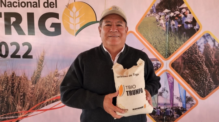 En el Día Nacional del Trigo, Anapo propone pacto productivo para aumentar la producción del grano