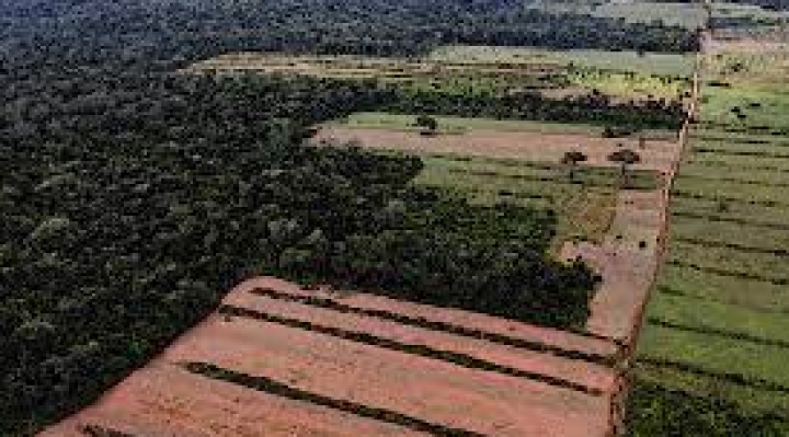 Brasil y Bolivia concentran el 90% de la deforestación y degradación de la Amazonia
