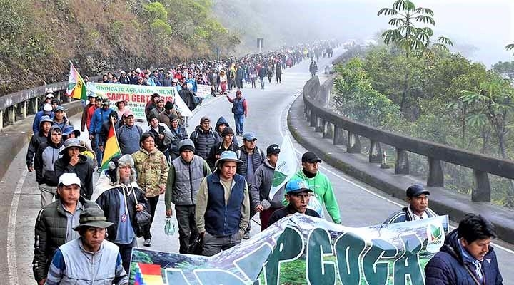 Las columnas se unen en Unduavi y ahora una gigantesca marcha cocalera se dirige a La Paz