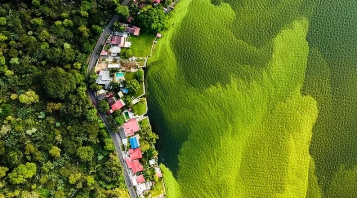 La oscura realidad detrás de la imagen del lago verde de Guatemala que ganó el "Oscar de fotografía de vida silvestre"