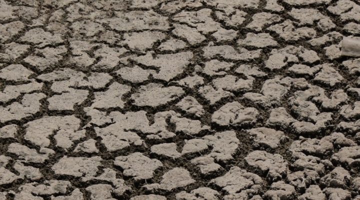 Bolivia: tres regiones sufren la peor sequía de los últimos 12 años y otras tres se acercan a niveles críticos