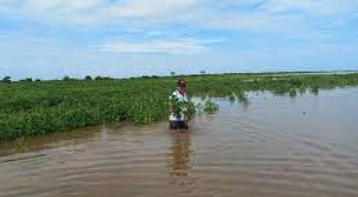 Fundación Tierra atribuye intensas lluvias en corto tiempo al fenómeno de La Niña y a la deforestación