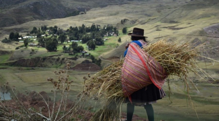 Opinión / Las mujeres trabajadoras están olvidadas en Bolivia