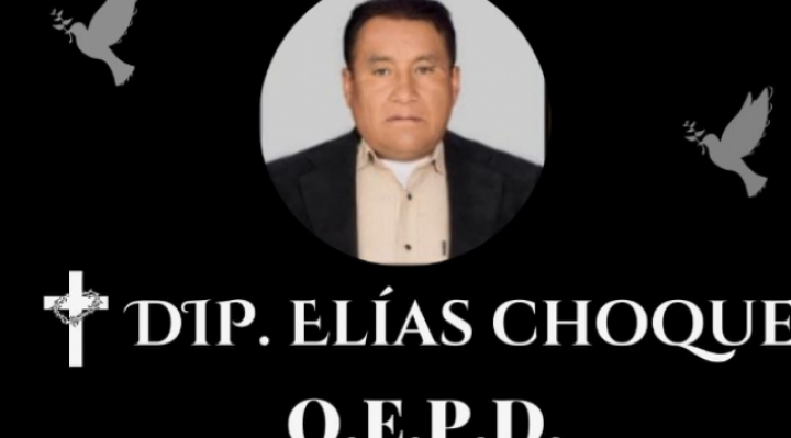 Diputado suplente del MAS fallece en un accidente de tránsito en Oruro