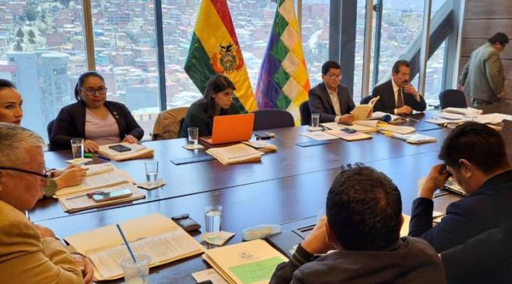 Comisión Mixta de la ALP analiza proposiciones acusatorias contra Añez