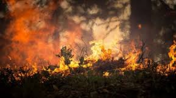 Incendio llega al valle de Tucabaca y declaran emergencia departamental a Santa Cruz 