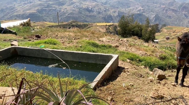 Mecapaca: en Totorani cada familia recibe 10 litros de agua y no hay para el riego de cultivos
