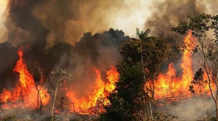 Incendios en el Amazonas: lo que se sabe de cómo se originaron los fuegos que causan estragos en la región