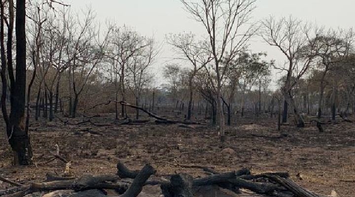 Ambientalistas e indígenas apuntan a Evo Morales como responsable de los incendios forestales  