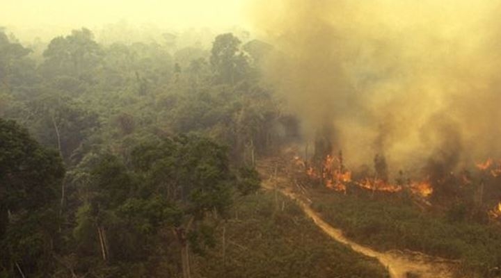 Incendios en el Amazonas: las críticas contra Bolivia y Paraguay (y no solo contra Brasil) por cómo cuidan sus bosques