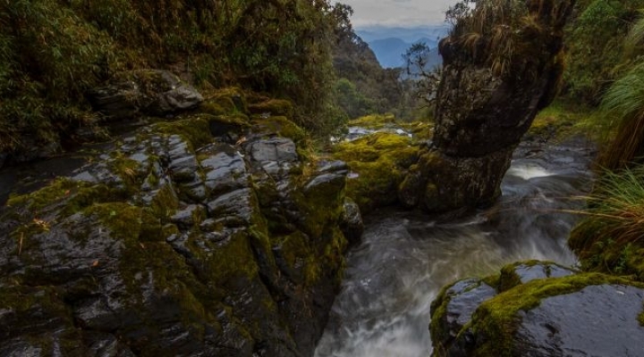 Un proyecto carretero impulsado por la  Gobernación de La Paz arriesga el Madidi  y el área natural de Apolobamba