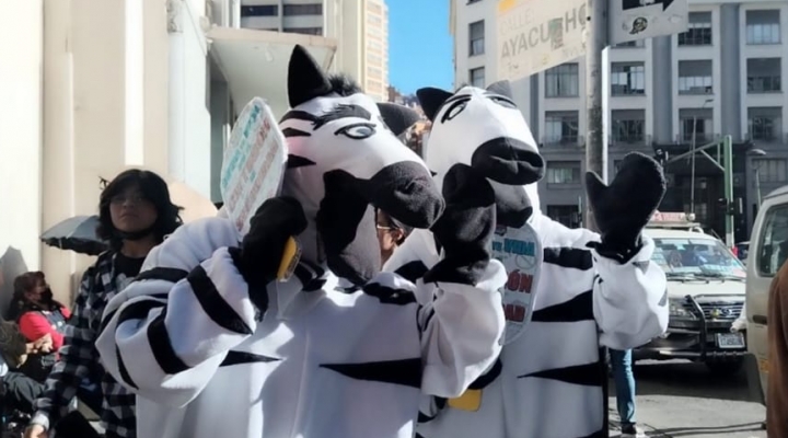 Las tradicionales cebritas están de vuelta en las calles paceñas