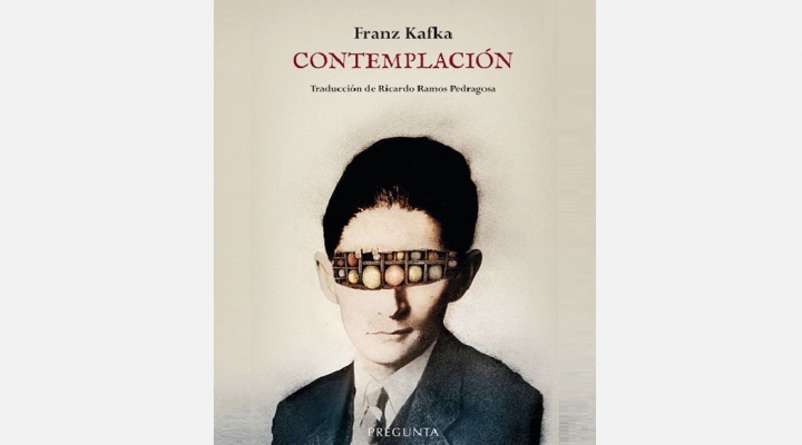 |OPINIÓN|Kafka minimalista|Raúl Teixidó|