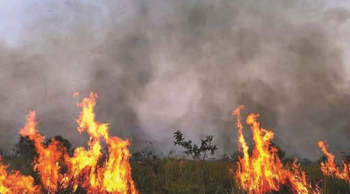 Chiquitanía: Incendio rebrota en Charagua e instruyen envío de “Supertanker”