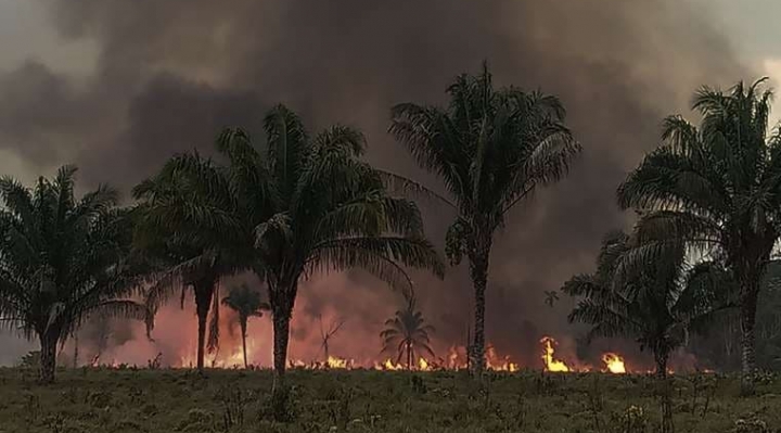 Alerta amarilla en Santa Cruz: 26 incendios han devastado más de 29.000 hectáreas de vegetación 