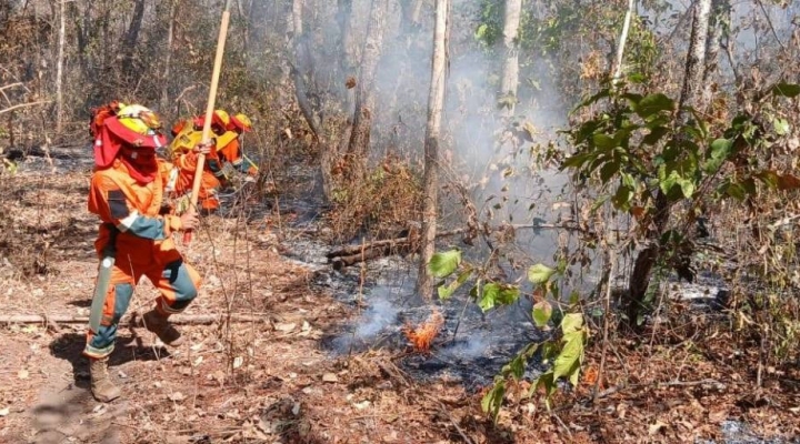 Reportan 3.100 focos de calor y Gobierno activa alerta de incendios forestales; tres regiones fueron afectadas