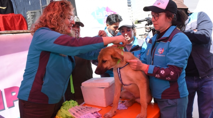 La campaña antirrábica en La Paz se realizará el 29 y 30 de junio