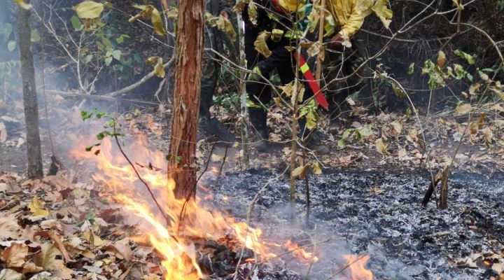 Un bombero desaparece en el cerro de Cotapata Santa Bárbara, sofocaba un incendio