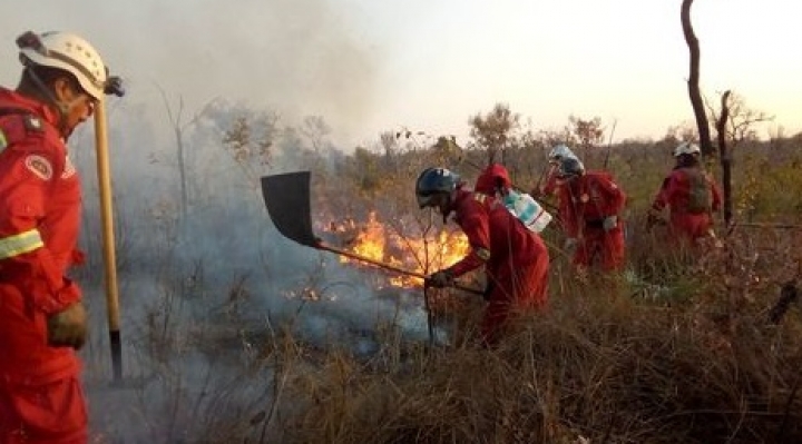 Bombero fallece en Coroico, suman dos muertos a consecuencia de los incendios forestales en Bolivia