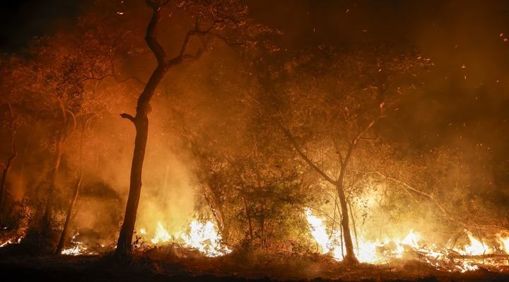 ONG de Bolivia, Brasil y Paraguay piden a la UE salvar el Pantanal de los incendios