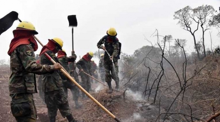FAN: Incendios forestales afectaron una superficie de 801.128 hectáreas en 16 áreas protegidas