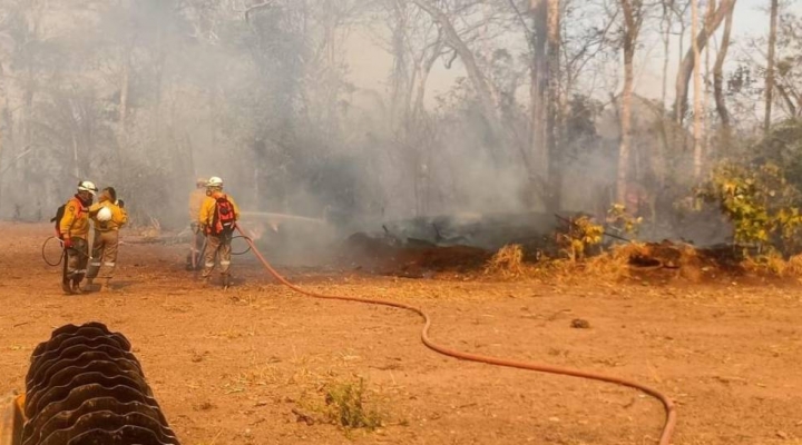 Incendio forestal en San Matías sigue sin ser sofocado tras más de 50 días y afecta al Área Natural de Manejo Integrado