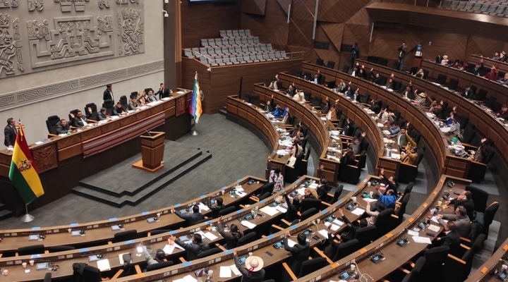 Coca critica la Acción Inconstitucional Abstracta de Jauregui por atentar contra el Legislativo y la democracia