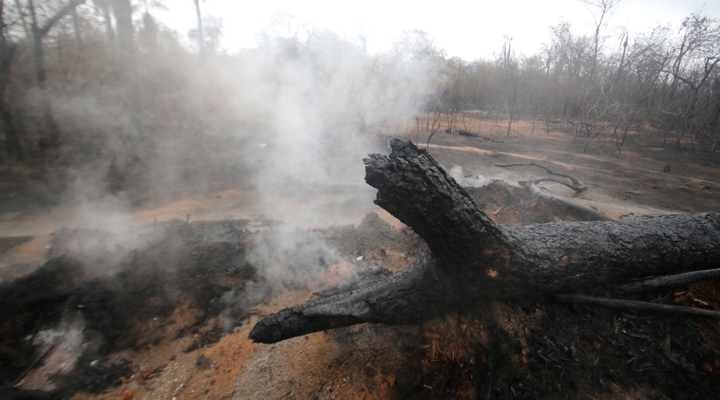 Incendios devastan casi 2 millones de hectáreas y afectan 6 áreas protegidas 